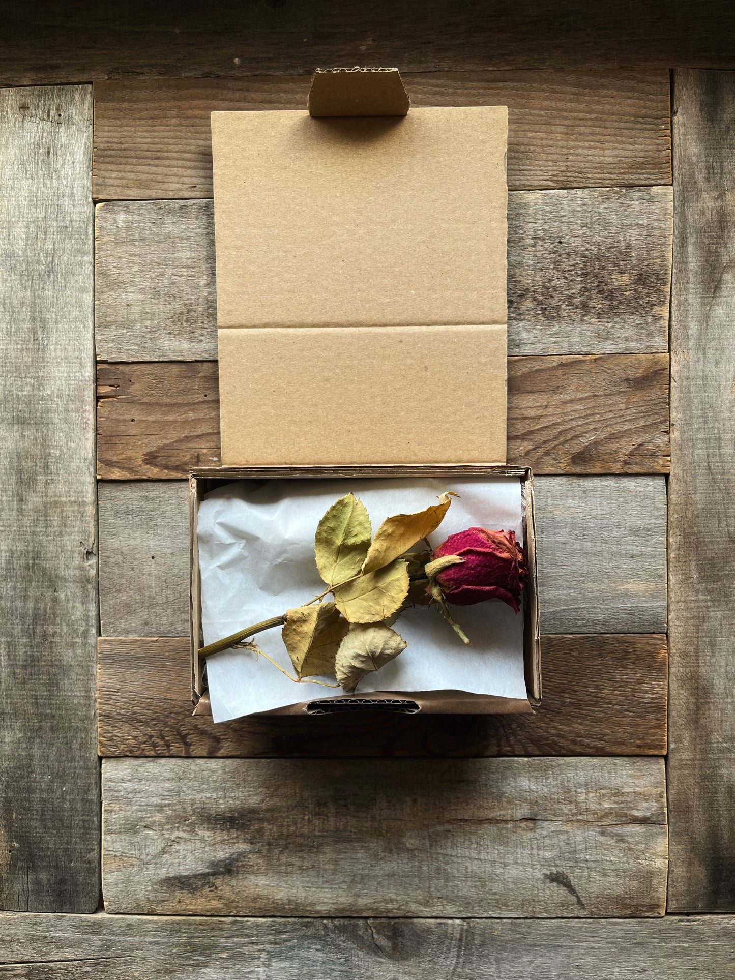 Napkin ring custom