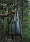 Borsa Foresta - giovelab